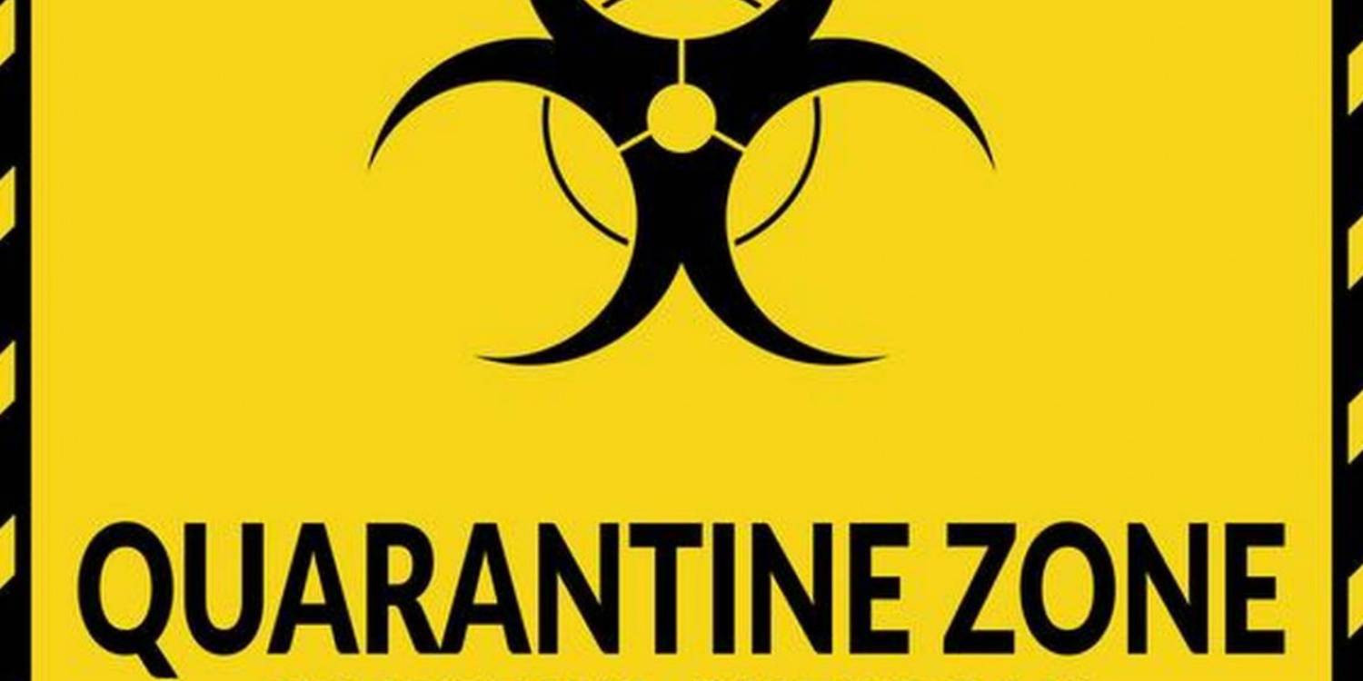 Why is quarantine making VR porn so popular?